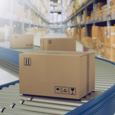 Dane w WMS – jak wykorzystać je do zwiększenia efektywności magazynu?